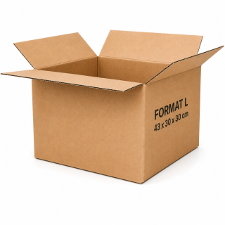 Grand carton d'expédition
